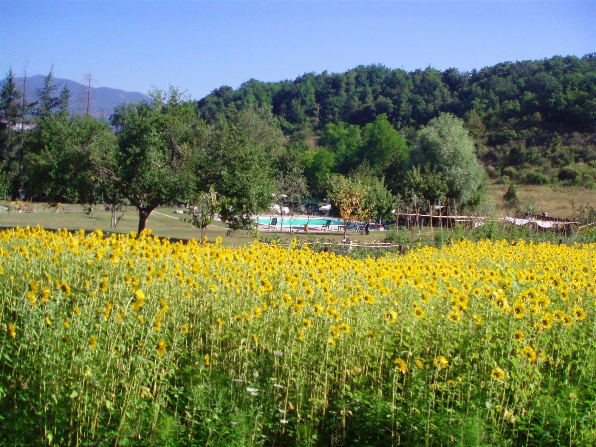 La Valle De' Medici Barberino di Mugello Eksteriør bilde